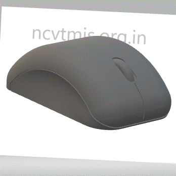 input unit in hindi Mouse