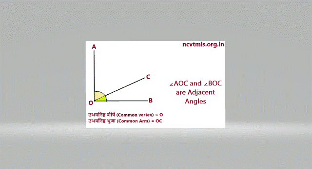 Adjacent Angles